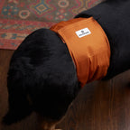 Pet Diaper and Belly Band Extenders in a Flexible 5-Pack