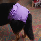 Pet Diaper and Belly Band Extenders in a Flexible 5-Pack