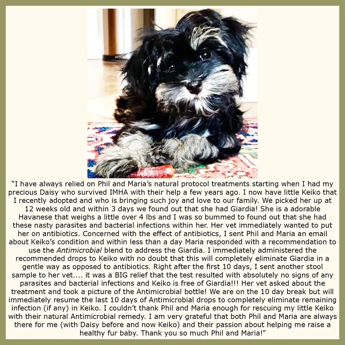 Pet Immune Support Herbal Extract for Dogs and Cats with USDA Organic Botanicals and Alcohol-Free Glycerin