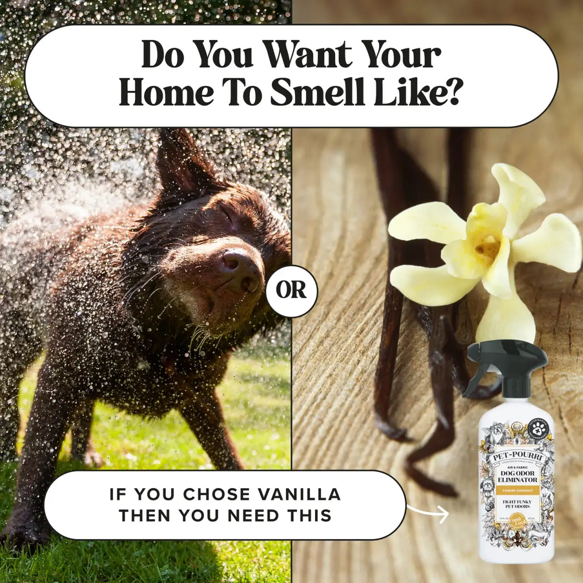 Pet Odor Eliminator