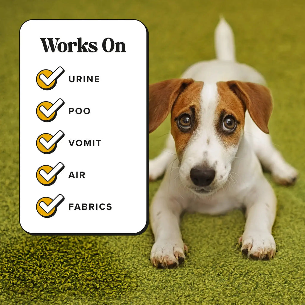 Pet Odor Eliminator