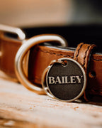 Pet Tag in Solid Brushed Brass with Deeply Engraved Bold Lettering You Can Both See and Feel