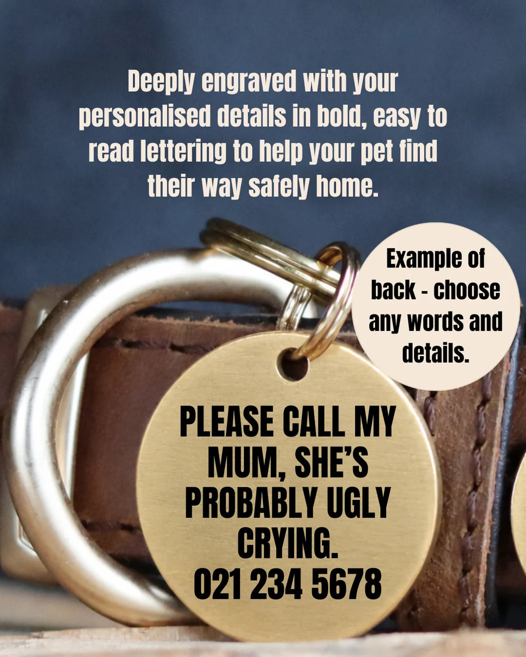 Pet Tag in Solid Brushed Brass with Deeply Engraved Bold Lettering You Can Both See and Feel