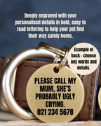 Pet Tag in Solid Brushed Brass with Deeply Engraved Bold Lettering You Can Both See and Feel