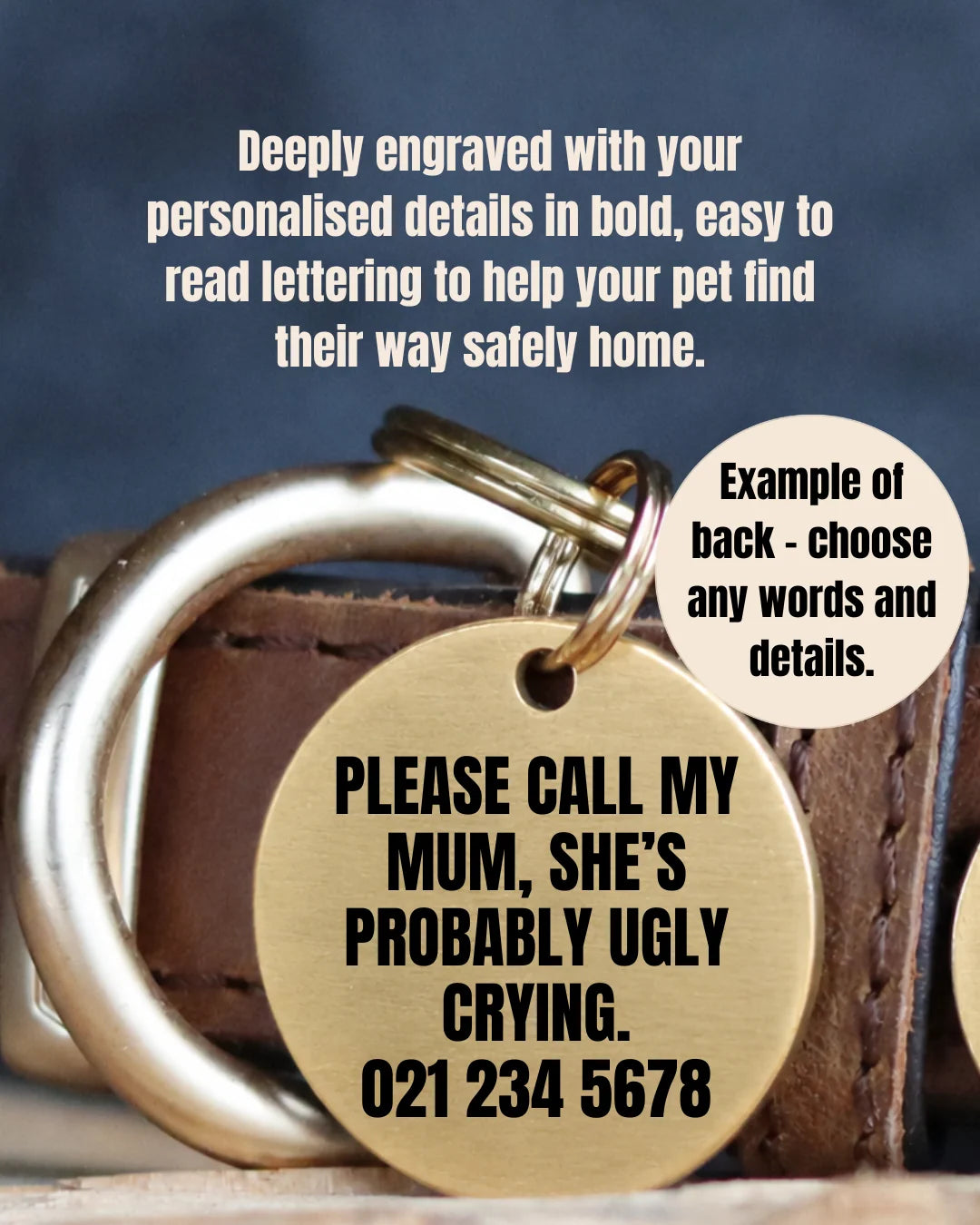 Pet Tag in Solid Brushed Brass with Deeply Engraved Bold Lettering You Can Both See and Feel