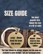 Pet Tag in Solid Brushed Brass with Deeply Engraved Bold Lettering You Can Both See and Feel