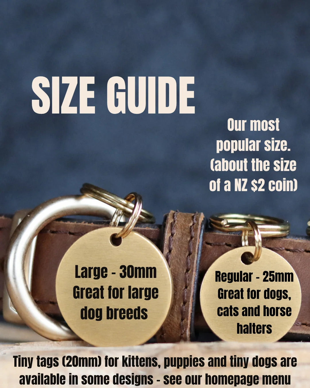 Pet Tag in Solid Brushed Brass with Deeply Engraved Bold Lettering You Can Both See and Feel