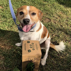Pet Waste Bags