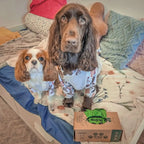 Pet Waste Bags