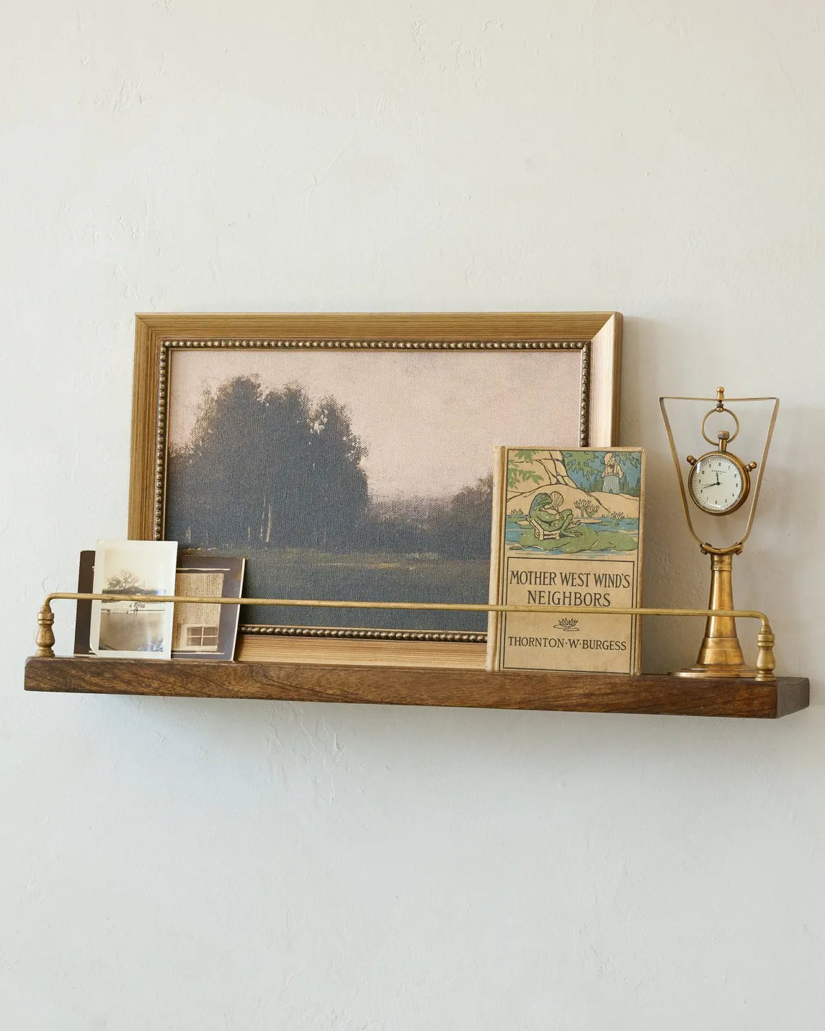 Picture Ledge Wall Shelf in Mango Wood