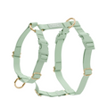 Pistachio Green Dog Harness with Five Adjustment Points and Front and Back Leash Attachments