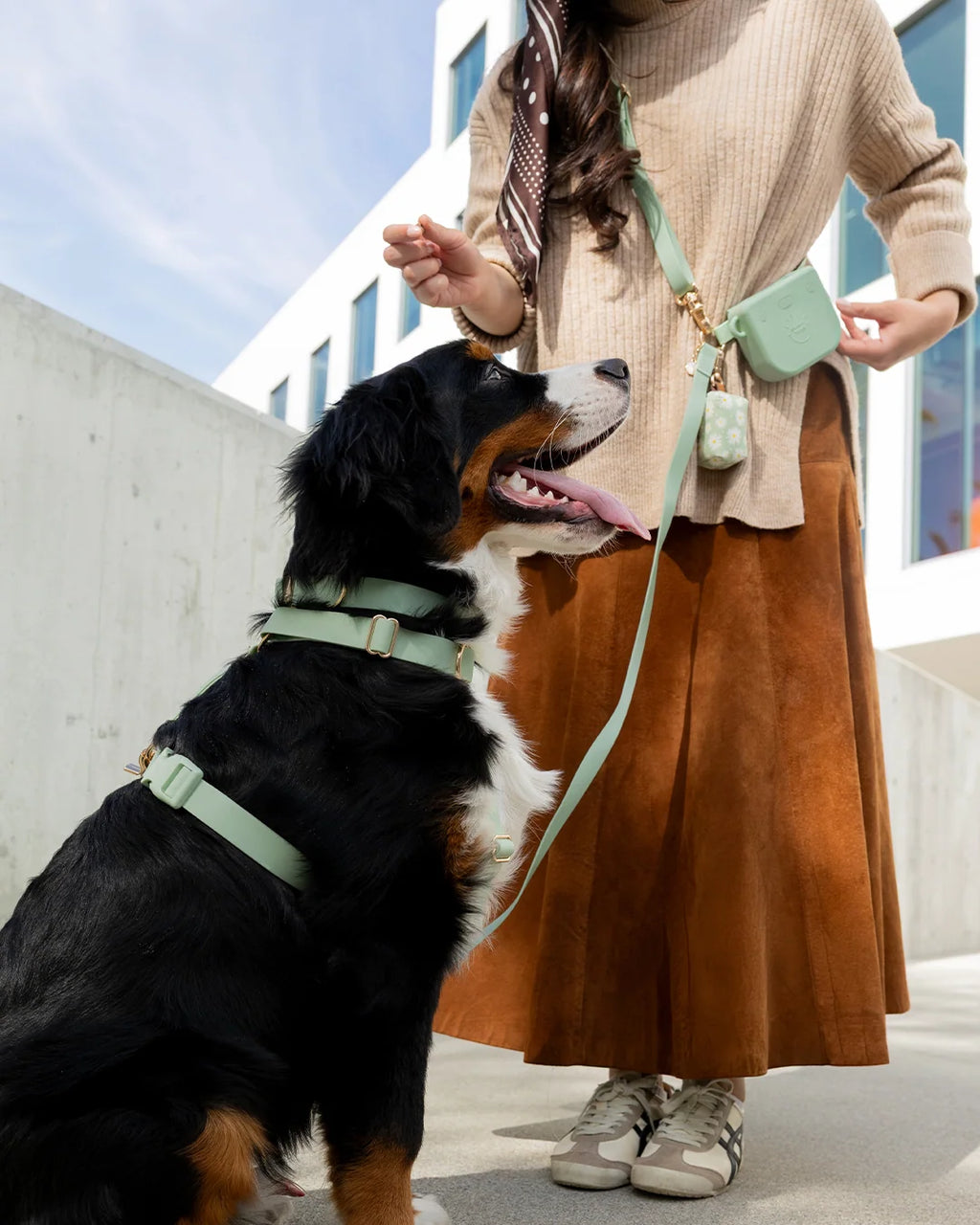 Pistachio Green Dog Harness with Five Adjustment Points and Front and Back Leash Attachments
