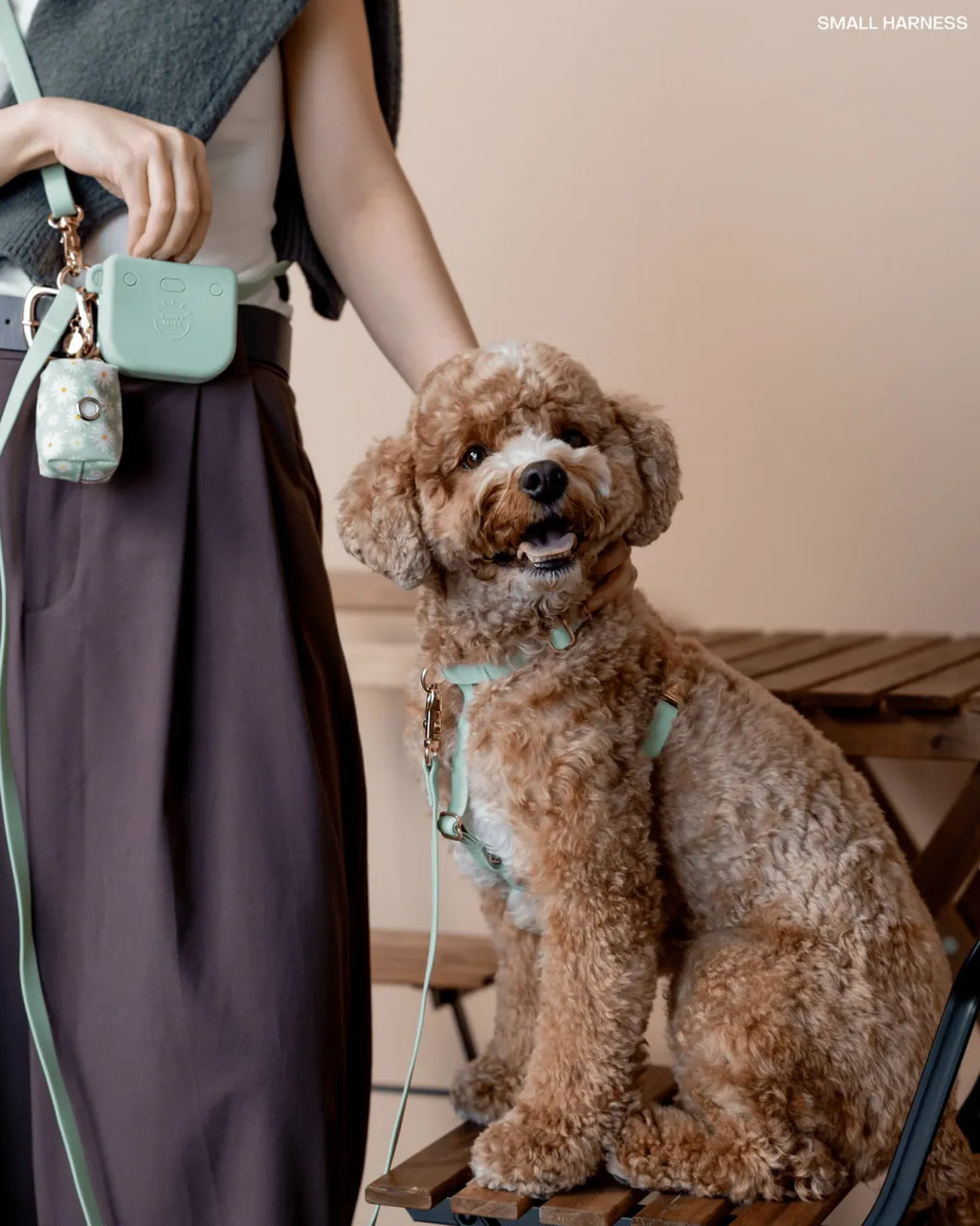 Pistachio Green Dog Harness with Five Adjustment Points and Front and Back Leash Attachments