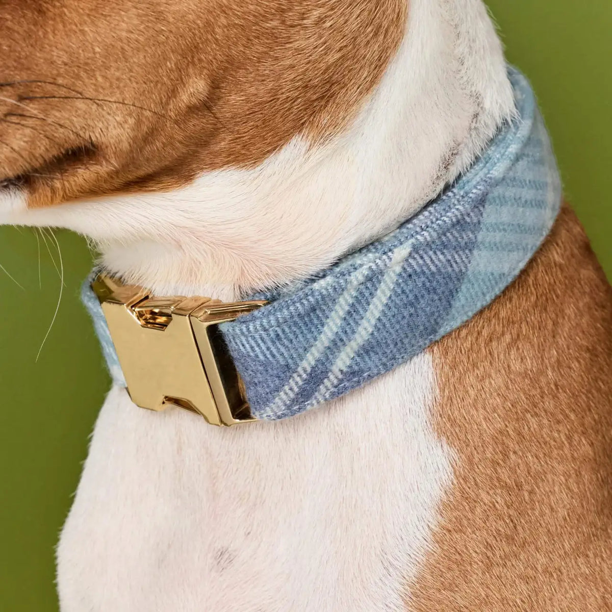 Plaid Flannel Dog Collar with Soft Cotton Fabric, Reinforced Stitching and a Solid Brass D-Ring