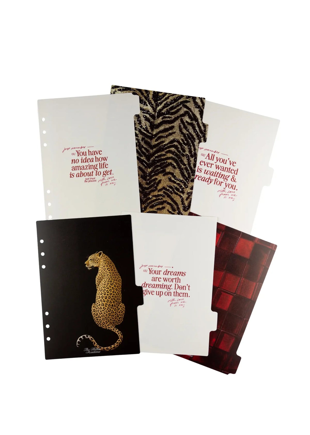 Planner Dividers Set of 6
