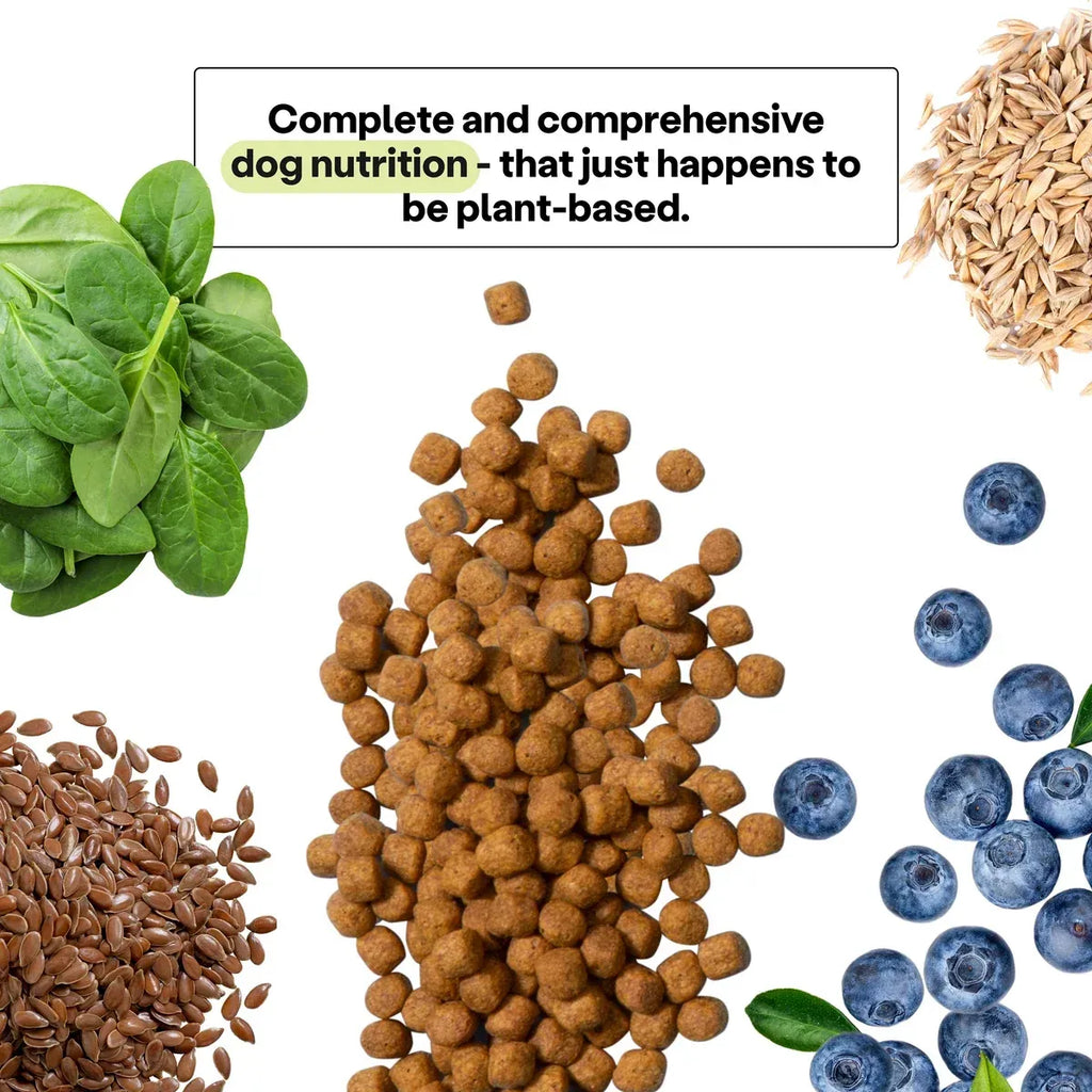Plant-Based Dog Food