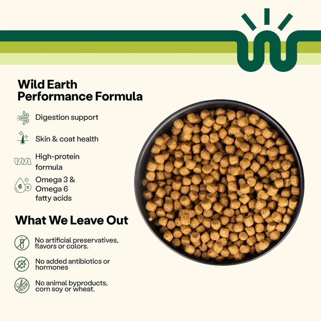 Plant-Based Dog Food