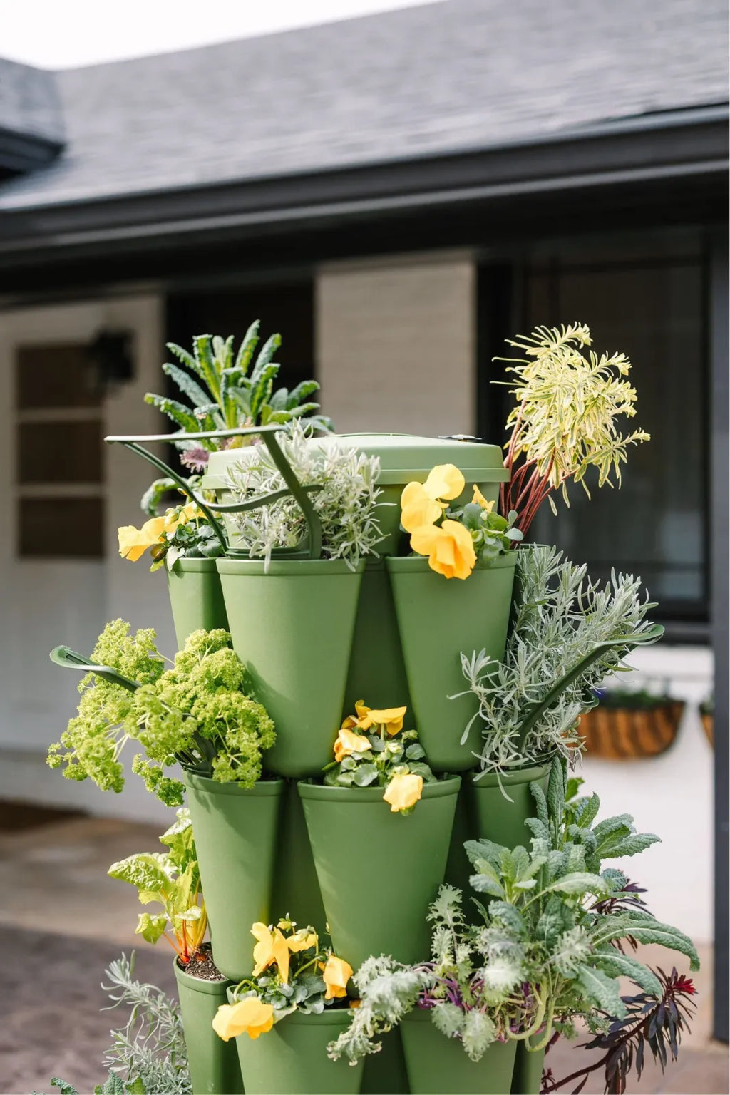 Plant Trellis Set of 3
