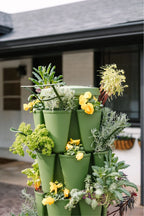 Plant Trellis Set of 3