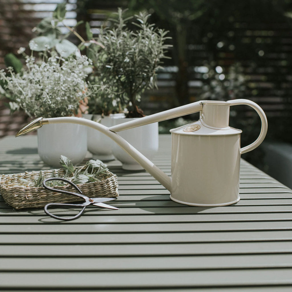 Plant Watering Can