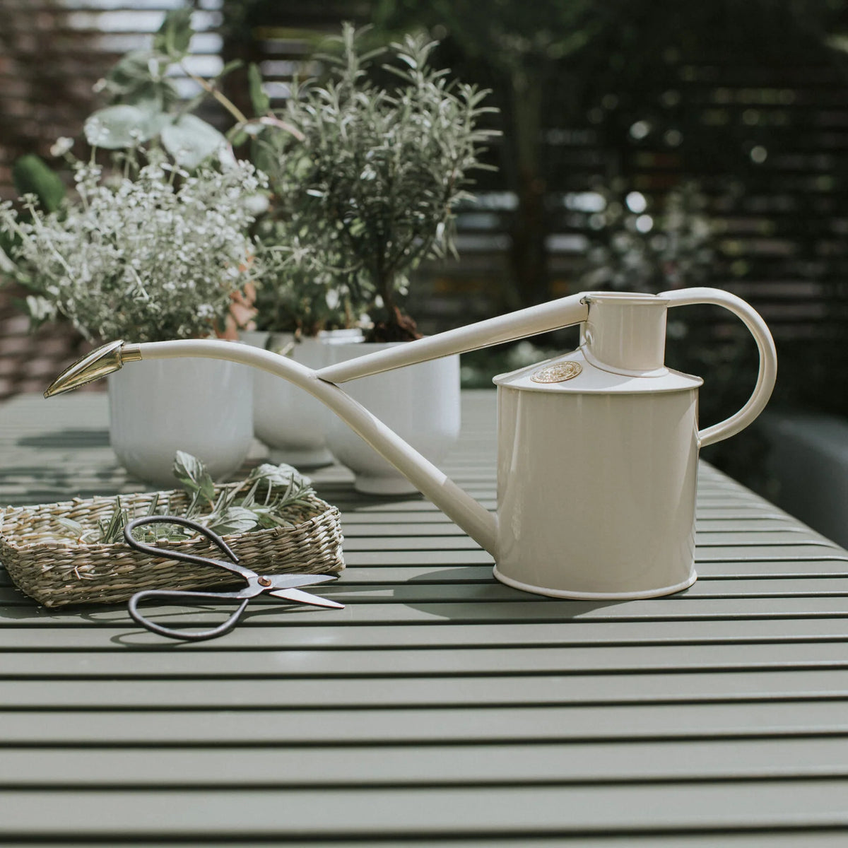 Plant Watering Can