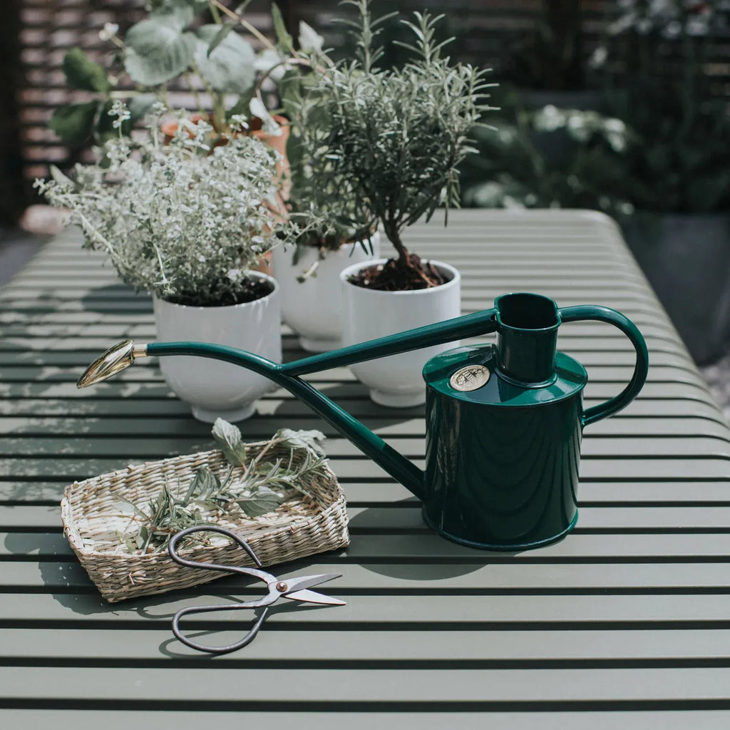 Plant Watering Can