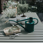 Plant Watering Can