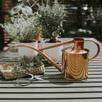 Plant Watering Can