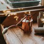Plant Watering Can