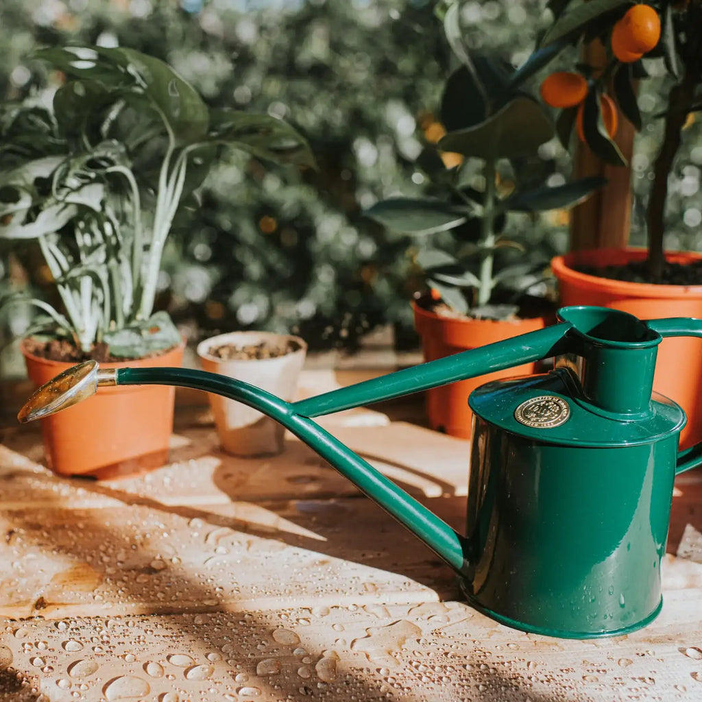 Plant Watering Can