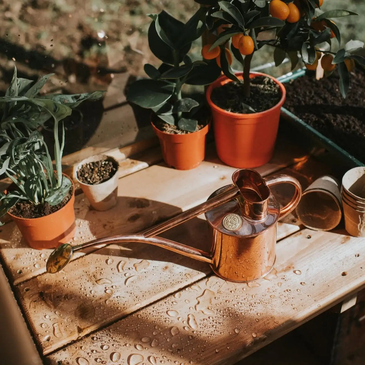 Plant Watering Can