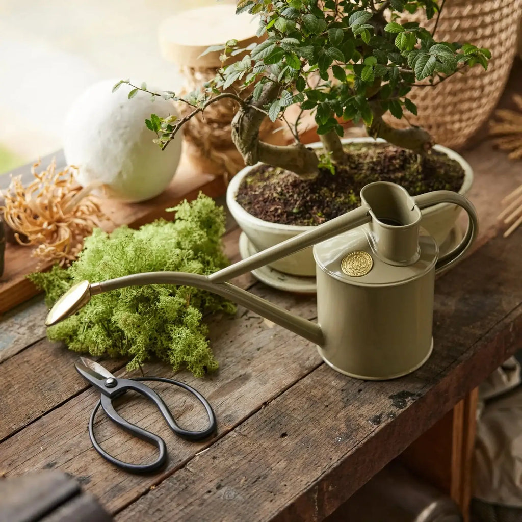 Plant Watering Can