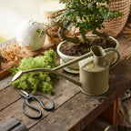 Plant Watering Can