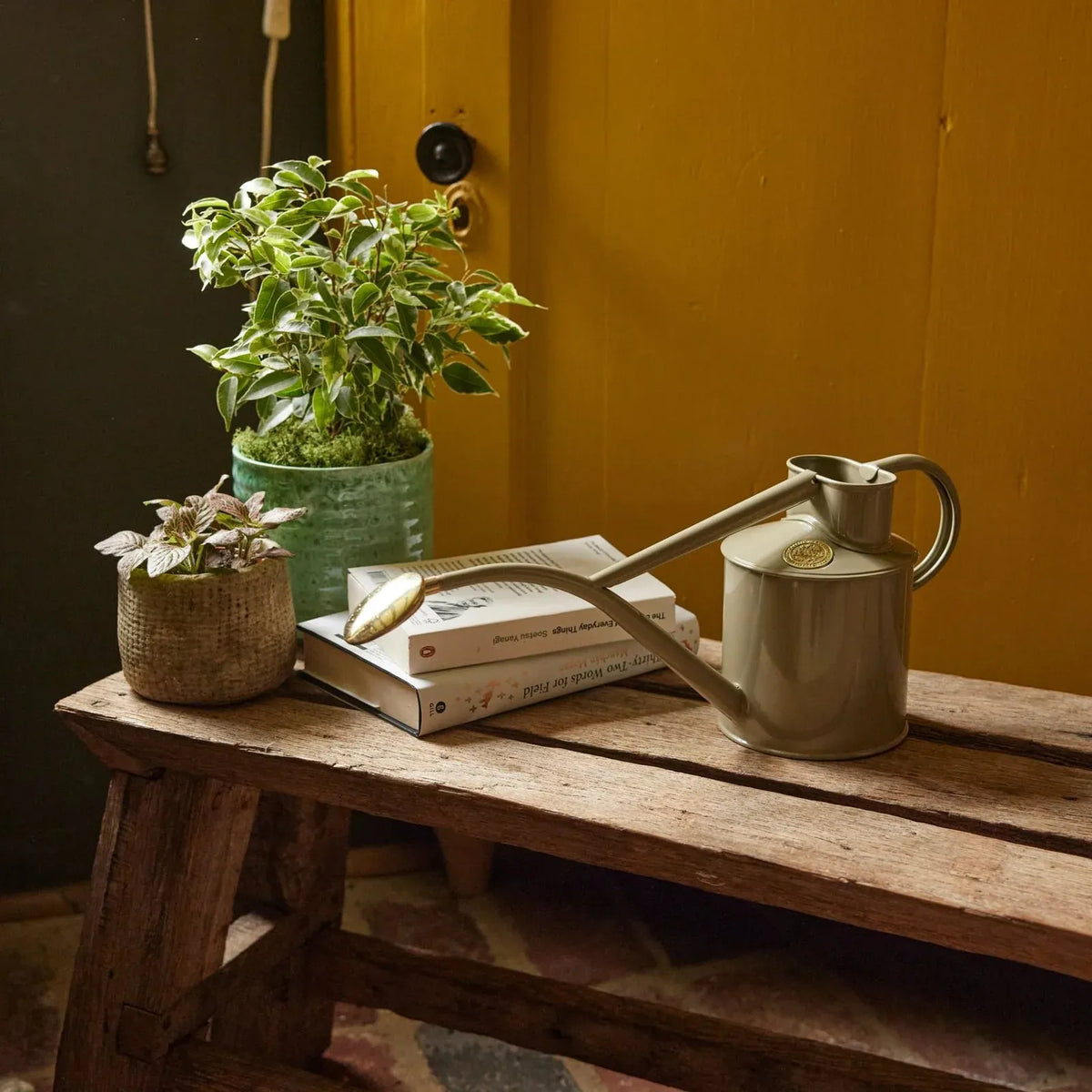 Plant Watering Can