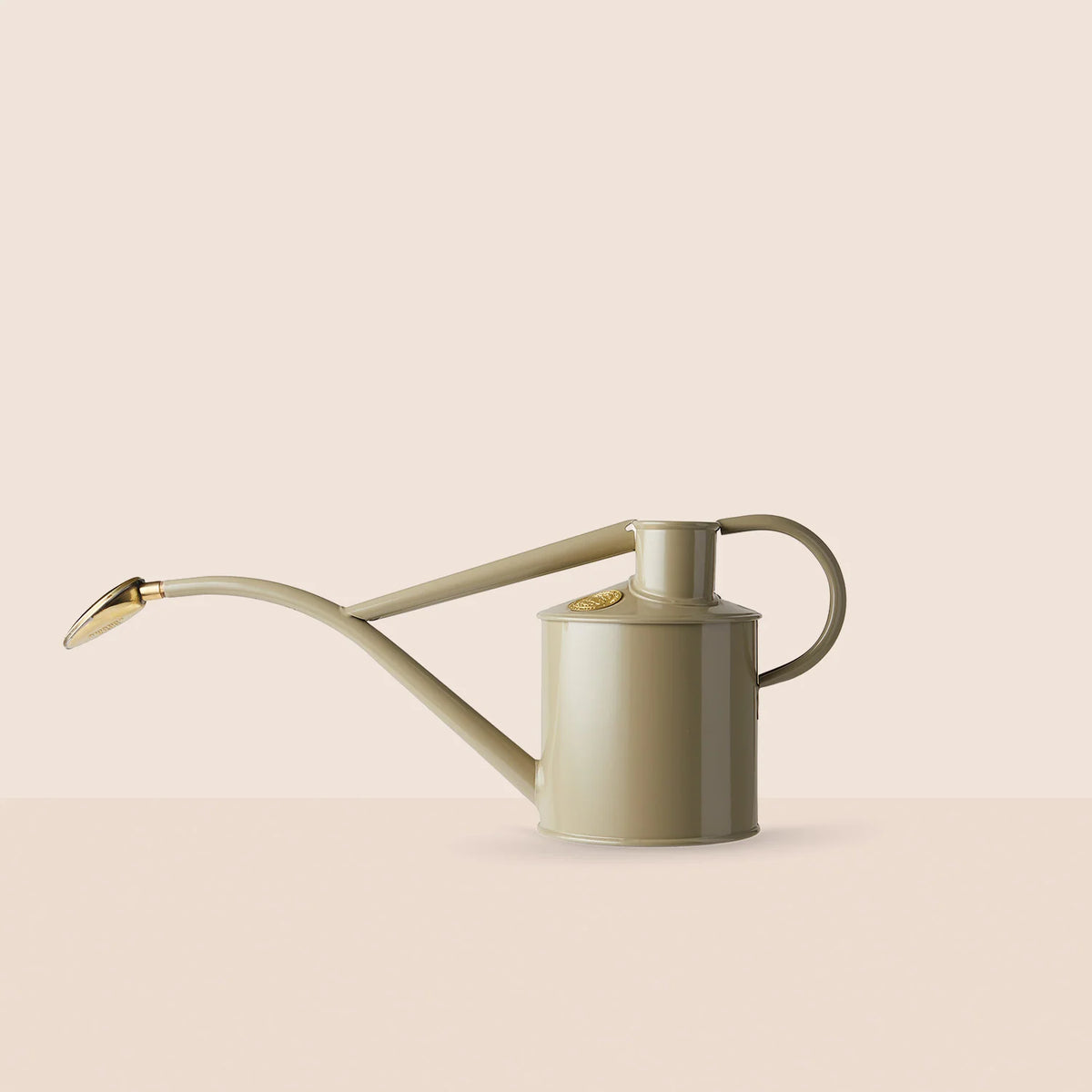 Plant Watering Can