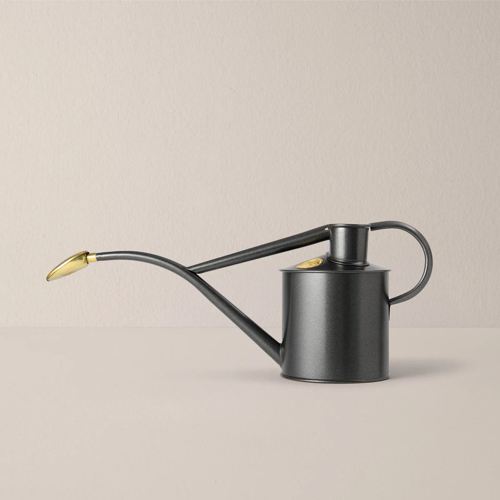 Plant Watering Can