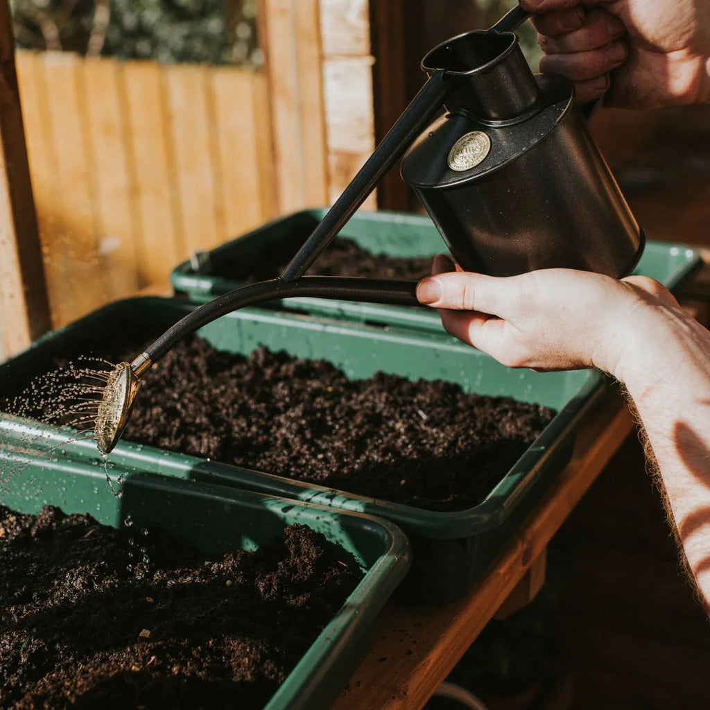 Plant Watering Can