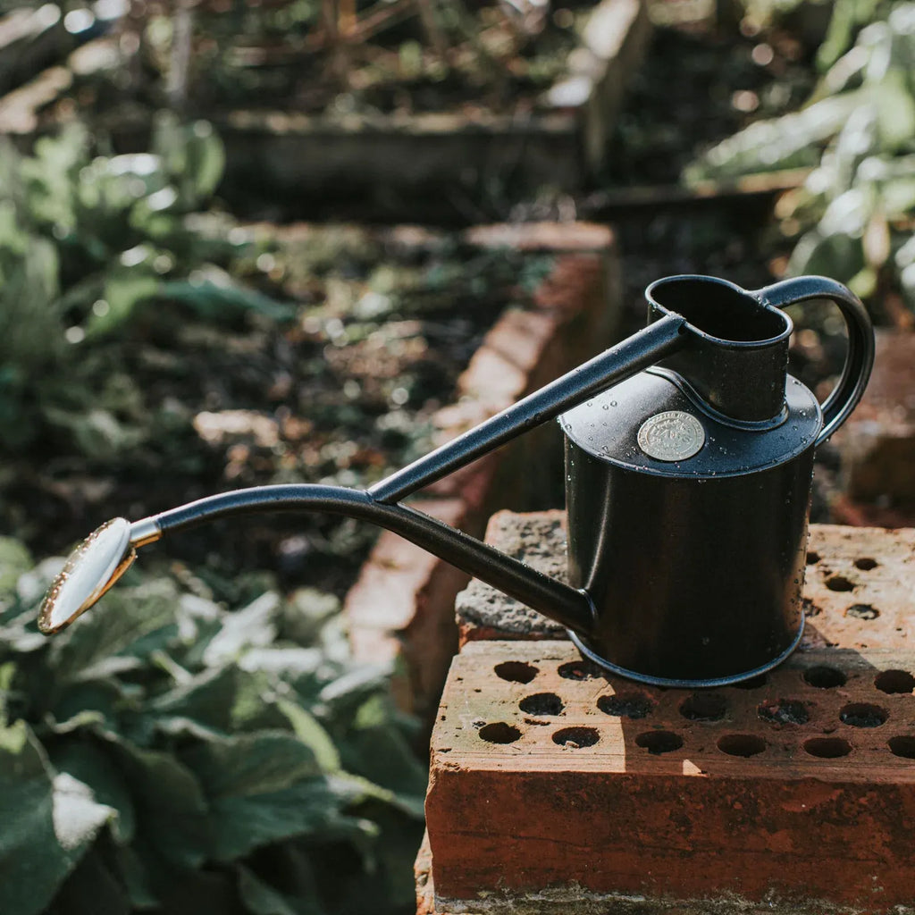 Plant Watering Can