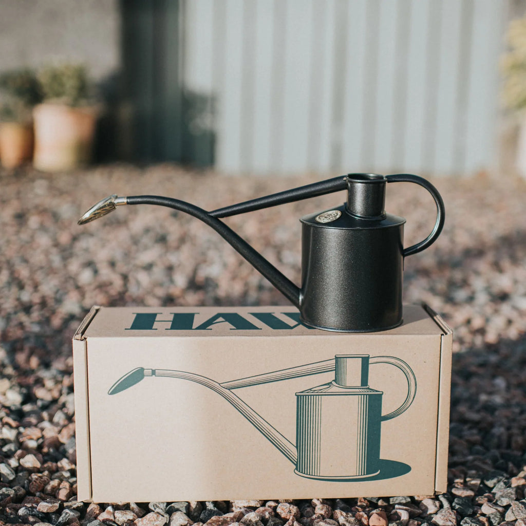Plant Watering Can