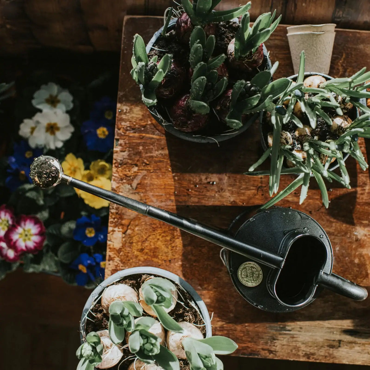 Plant Watering Can