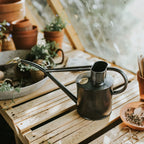 Plant Watering Can