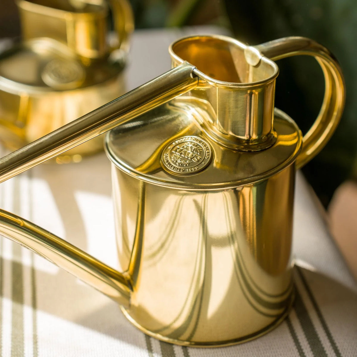 Plant Watering Can
