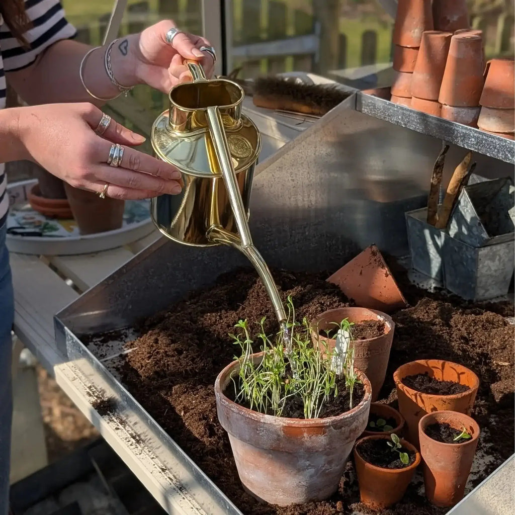 Plant Watering Can