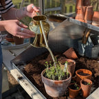 Plant Watering Can