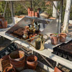 Plant Watering Can