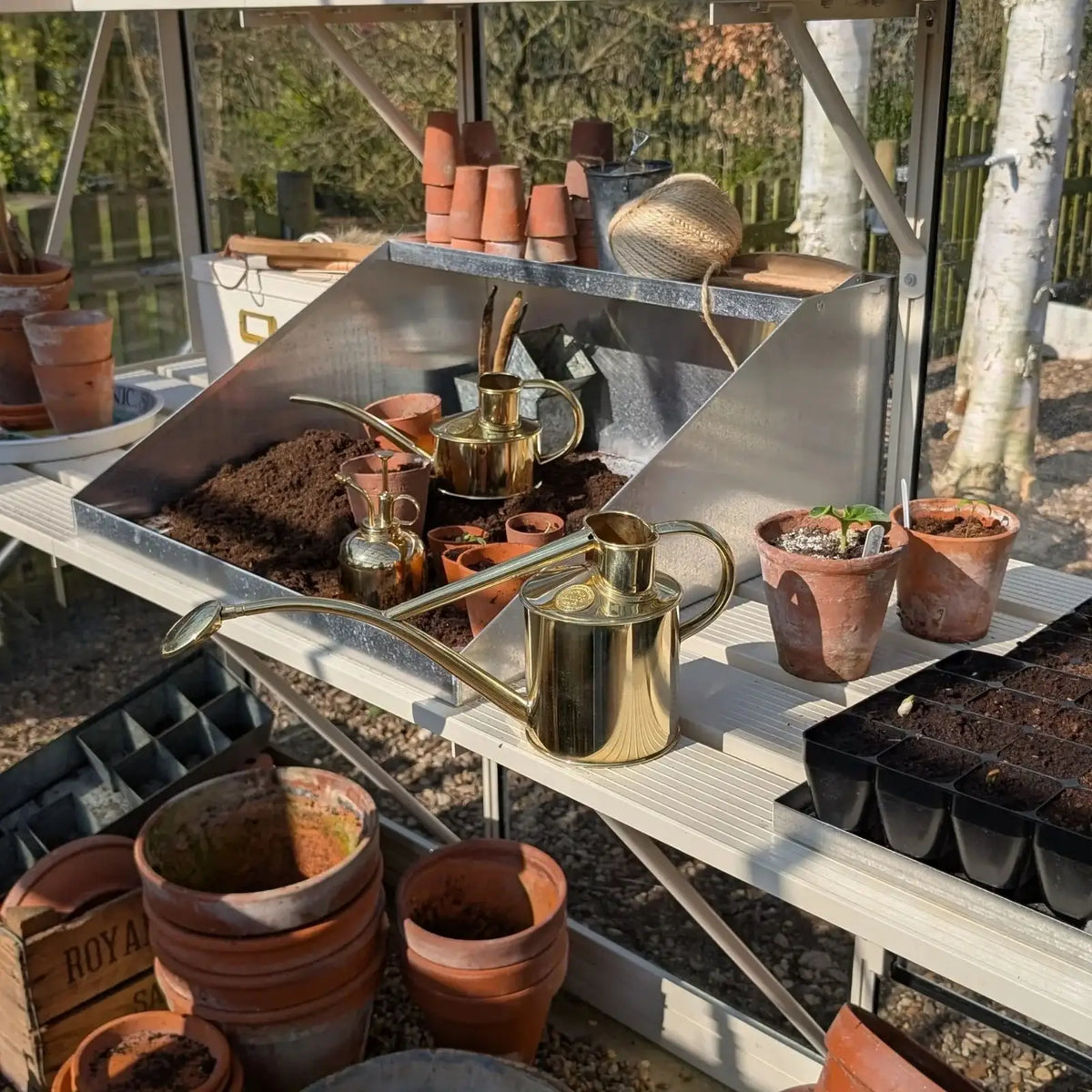 Plant Watering Can