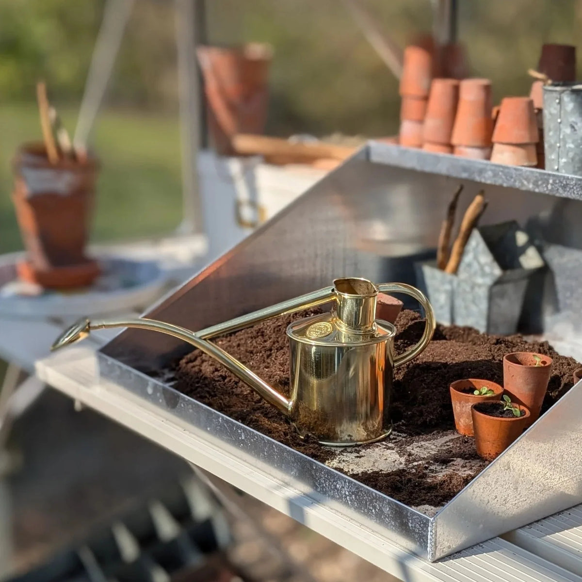 Plant Watering Can