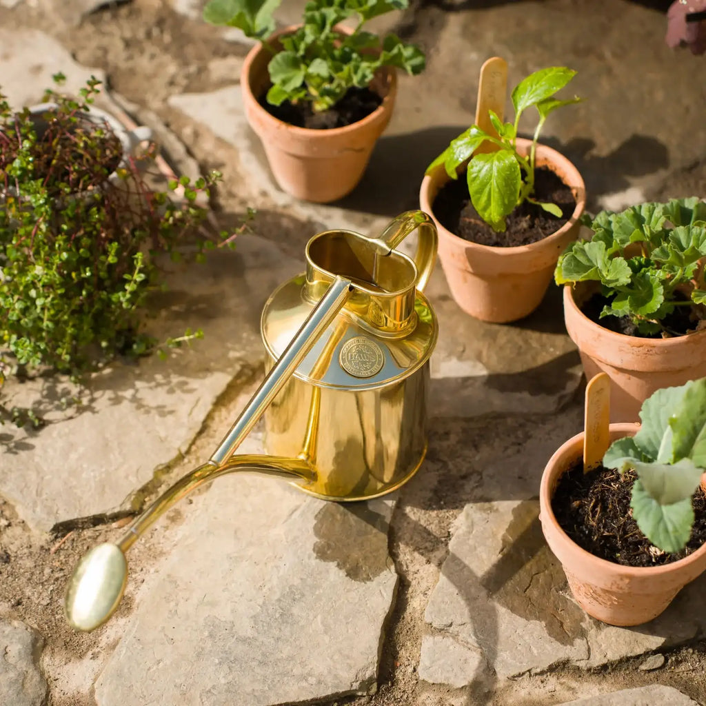 Plant Watering Can