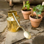 Plant Watering Can