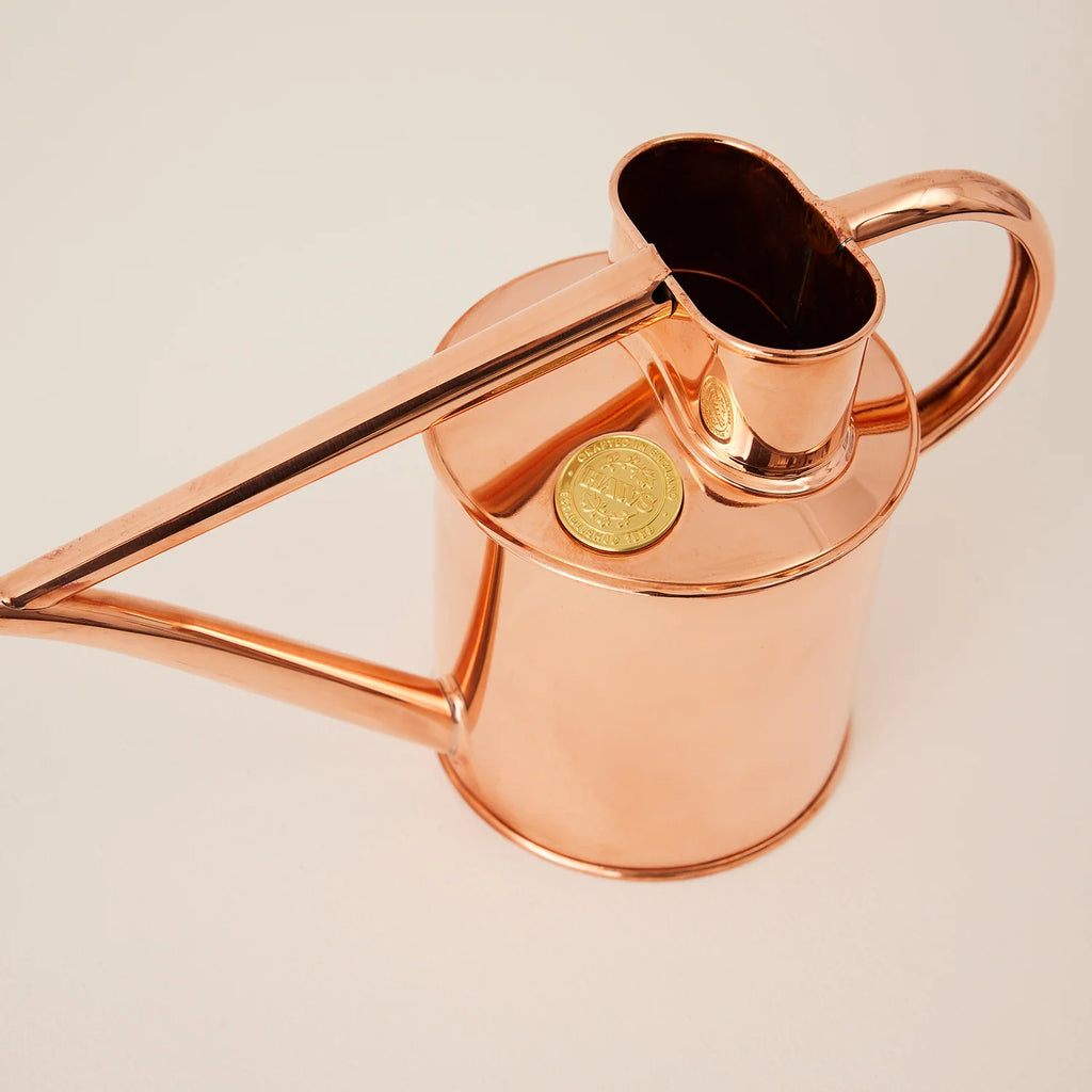 Plant Watering Can
